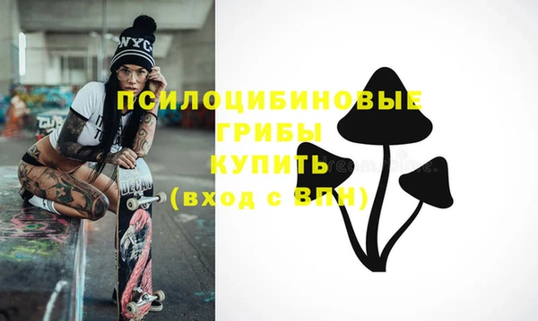 дживик Новодвинск