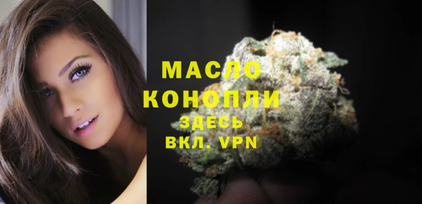 дживик Новодвинск