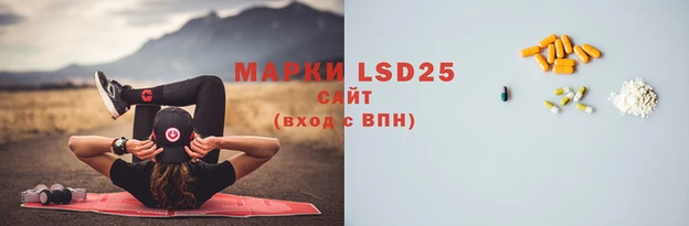 дживик Новодвинск