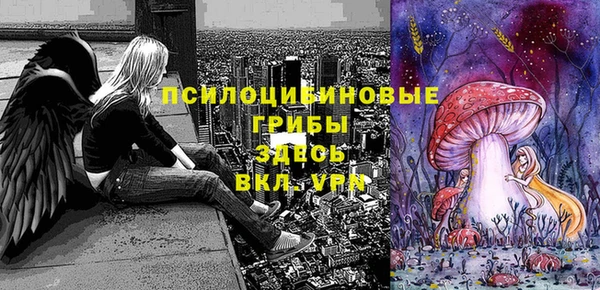 MDMA Новозыбков