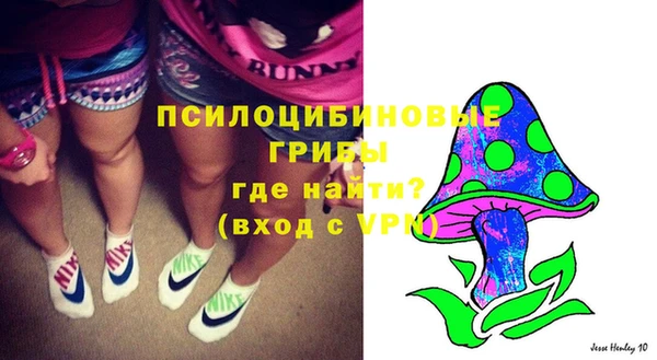 дживик Новодвинск