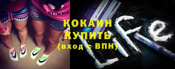 дживик Абинск