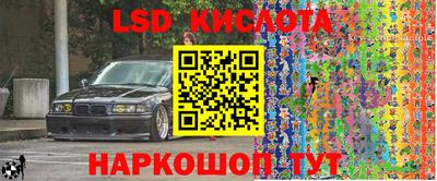 PSILOCYBIN Бугуруслан