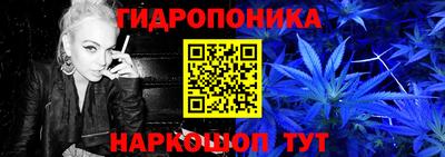 PSILOCYBIN Бугуруслан