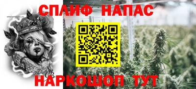 дмт Бузулук