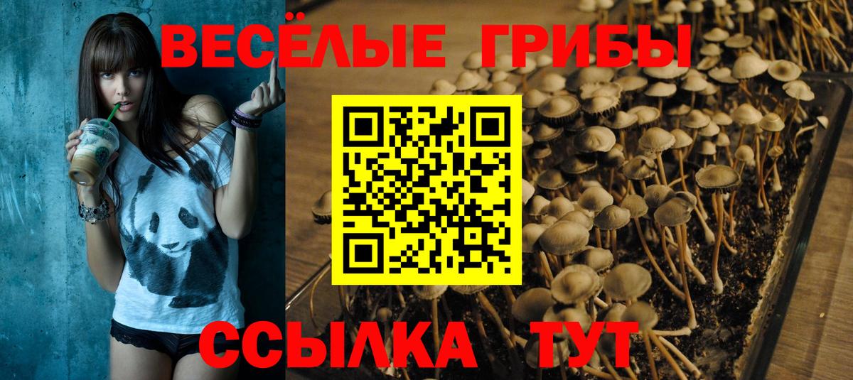 Сатка  Псилоцибиновые грибы мухоморы  Вход с VPN  Галлюциногенные грибы мухоморы 