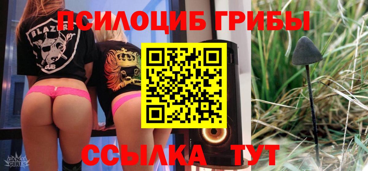 Галлюциногенные грибы GOLDEN TEACHER  Галлюциногенные грибы прущие грибы  Сатка 